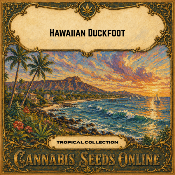 hawaiian duckfoot 2