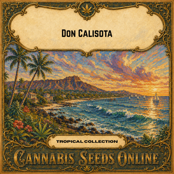 don calisota